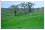 ROLLING HILL SPRING GRASS
